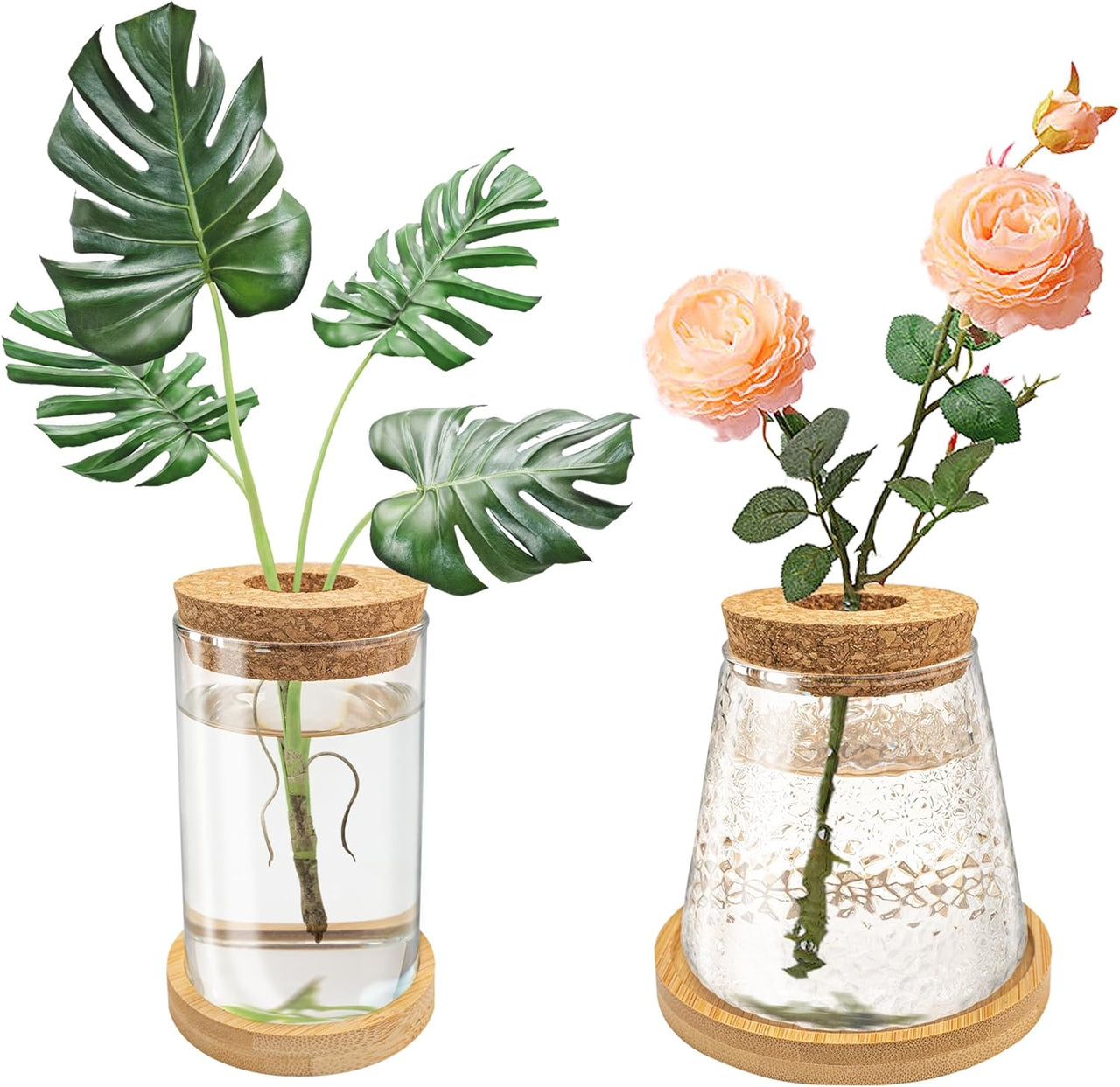 2Pcs Plants Propagation Station. Desktop Glass Planter Terrarium Vase with Wooden Lid&Tray. Plant Lover Gift (Hammer&Plain Glass)